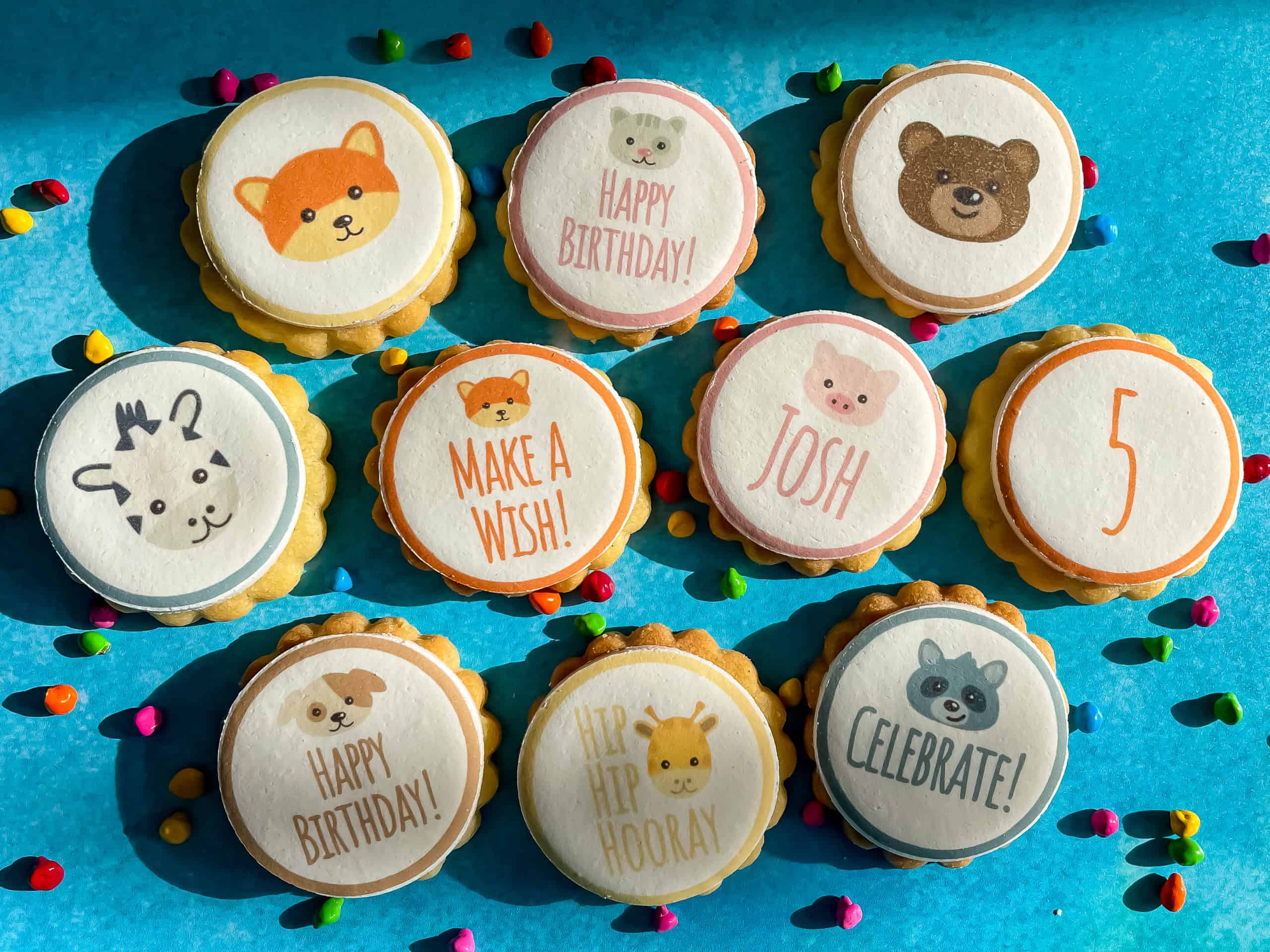 Animal Birthday Biscuits Gallery Image